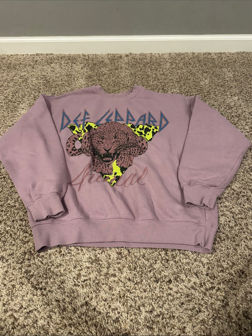 Lavender Graphic Band Pullover Sweatshirt